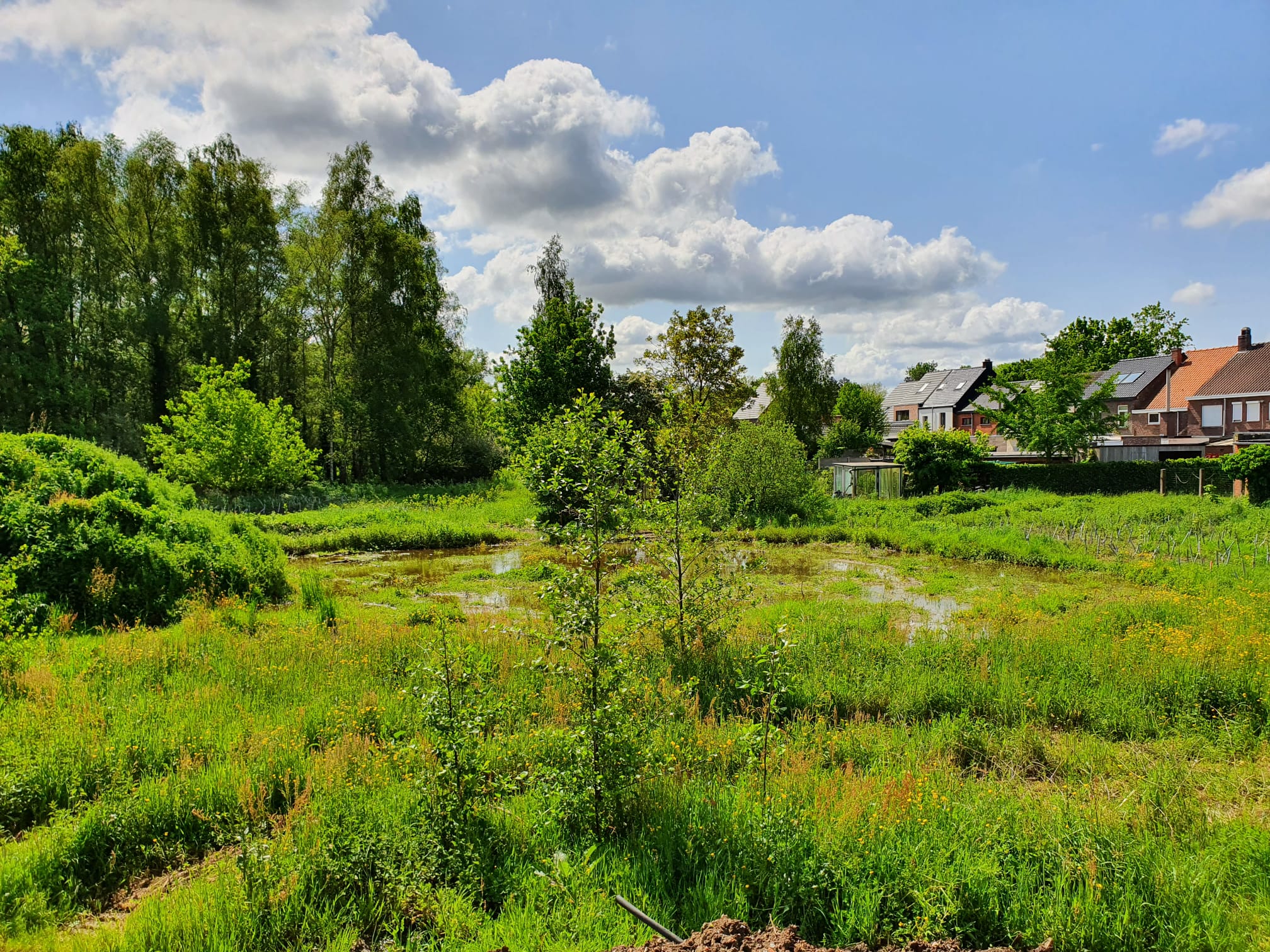 Bostoen Nieuwbouwappartement Zwijnaarde RijvisscheHof Werf Omgeving